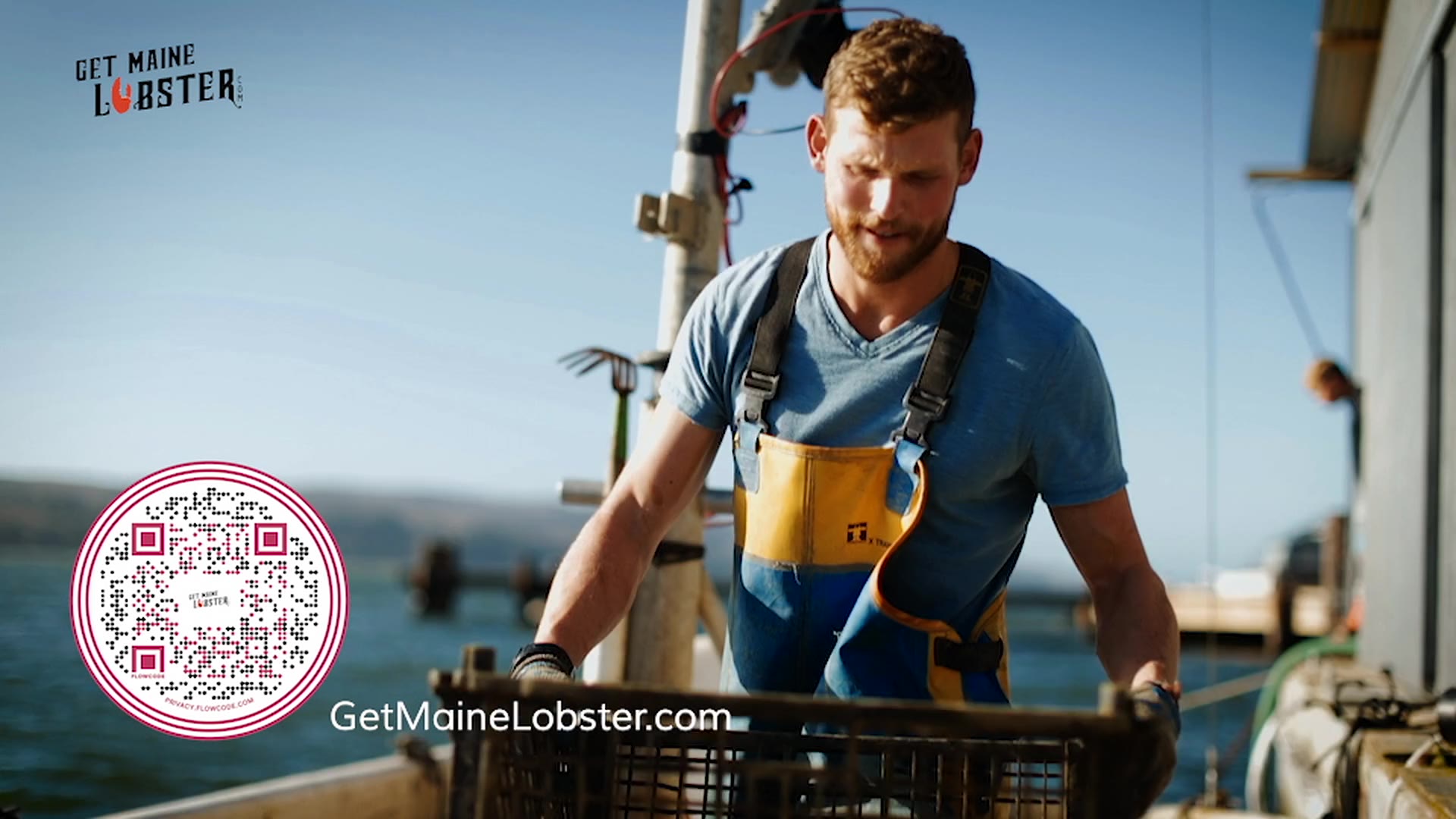 Get Maine Lobster — Machina